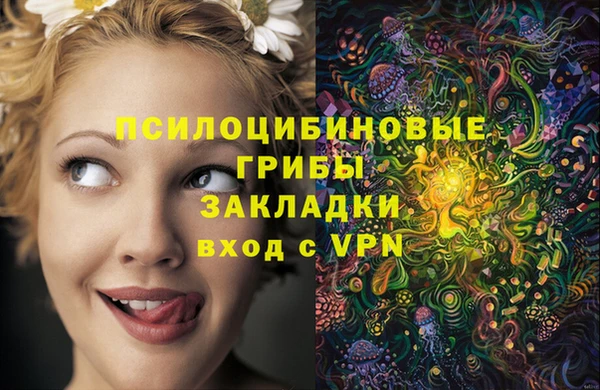прущая мука Арсеньев