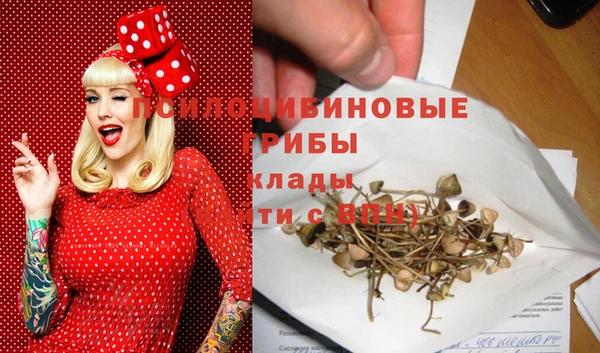 прущая мука Арсеньев