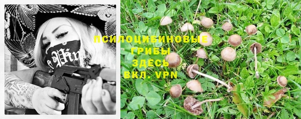 прущие крисы Армянск