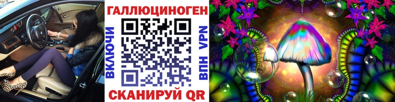 где можно купить   Георгиевск  Псилоцибиновые грибы мицелий 